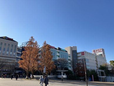 Retina top 20251216b%402x