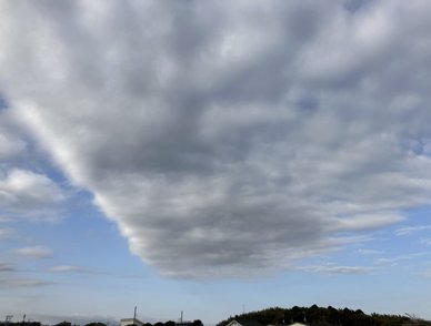 Retina top 20260120a%402x