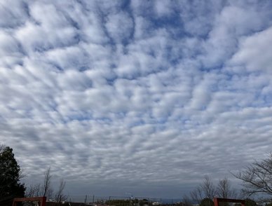 Retina top 20260128b%402x