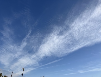 Retina top 20260131b%402x