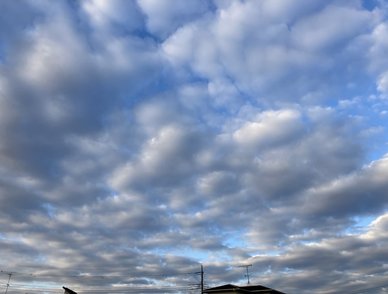 Retina top 20260202a%402x