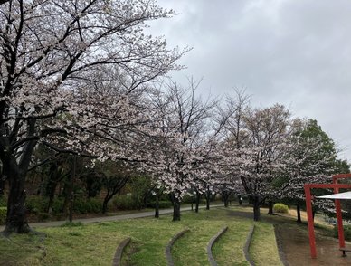 Retina top 20260326a%402x