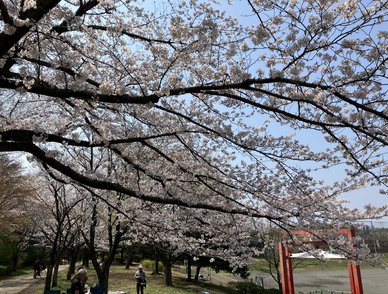 Retina top 20260329a%402x