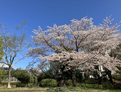 Retina top 20260402c%402x