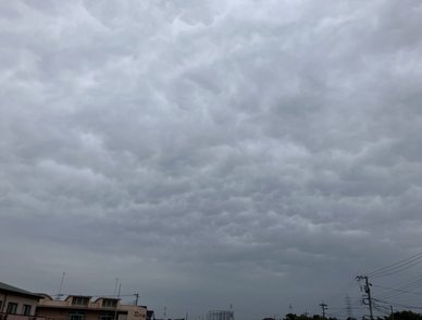 Retina top 20260407a%402x