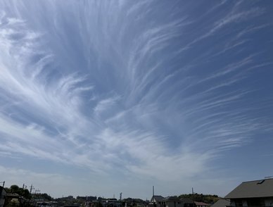 Retina top 20260412c%402x