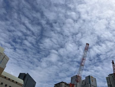 Retina top 20260415a%402x