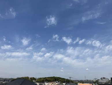 Retina top 20260420b%402x