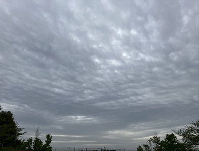 Retina top 20260422a%402x